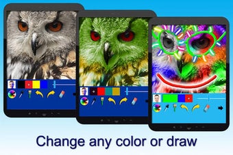 Image 0 for Recolor - Color effects