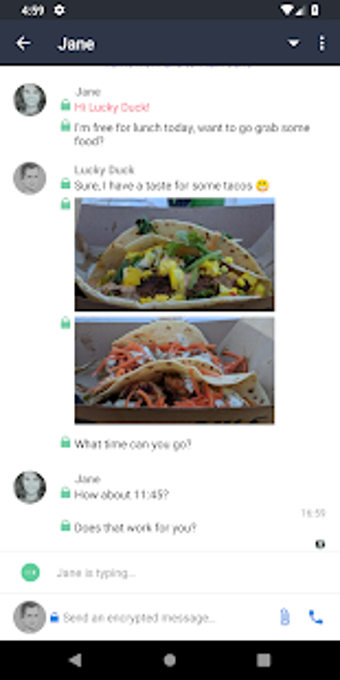 Image 1 for Librem Chat