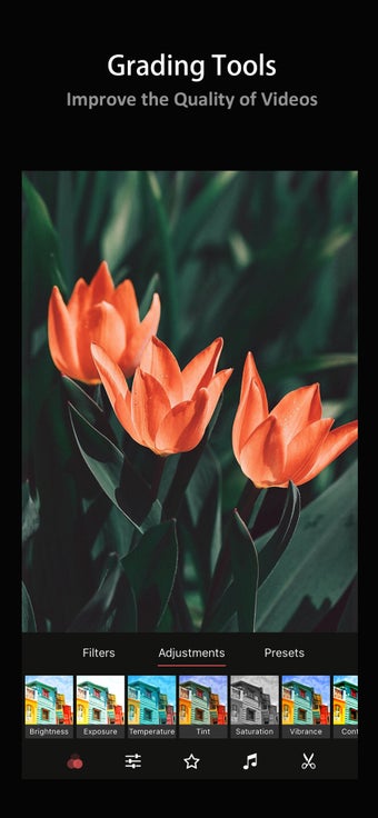 Image 3 for Mue - Video Editor & Film…