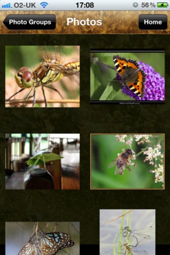 Image 6 for MiniBeast Hunt