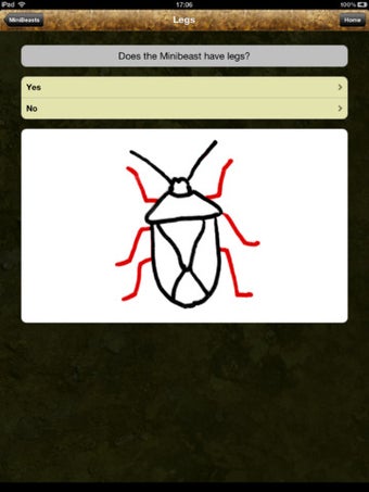Image 2 for MiniBeast Hunt