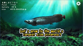 Image 1 for Pirarucu rising from fry