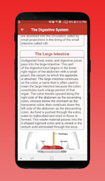 Image 1 for Human Body System  Inside…