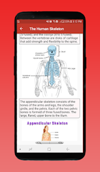 Image 3 for Human Body System  Inside…