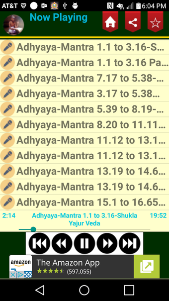 Imagen 2 para Vedas Chanting Audio