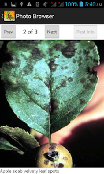 Imagen 3 para Purdue Tree Doctor