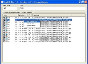 Image 1 for SimpleNetFile