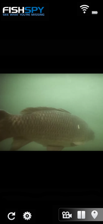 Image 1 for FishSpy
