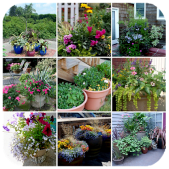 Image 1 for Container Gardening