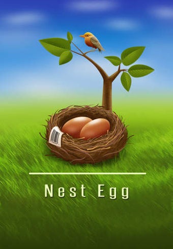 Image 0 for Nest Egg - Inventory