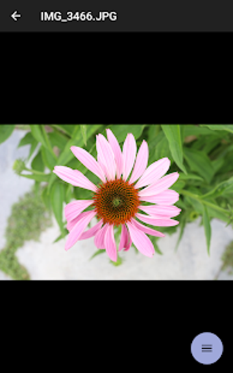 Imagen 0 para Camera Connect