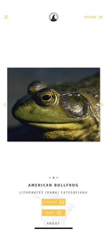 Image 1 for NWF Guide to Amphibians
