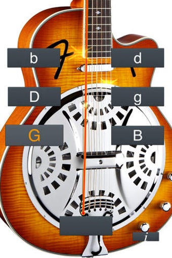 Image 0 for Dobro Tuner Simple