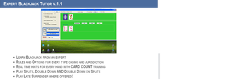Image 0 for Expert Blackjack Tutor
