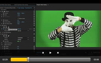 Image 0 for Premiere Pro CC Effects C…