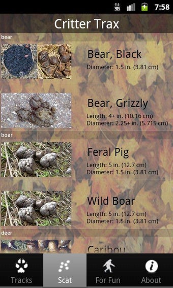 Imagen 2 para Critter Trax - Wild Anima…
