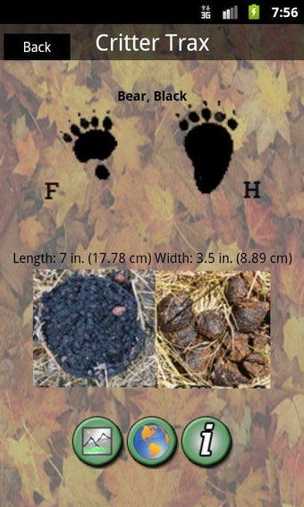 Imagen 3 para Critter Trax - Wild Anima…