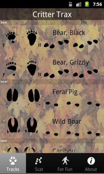 Imagen 1 para Critter Trax - Wild Anima…