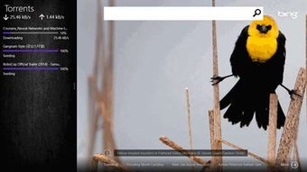 Imagen 3 para Torrent RT for Windows 10