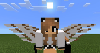 Image 1 for Wings mod