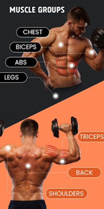 Image 2 for LifeBuddy - Home Dumbbell…