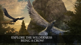 Image 0 for Wild Life: Flying Crow Bi…
