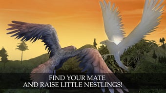 Image 1 for Wild Life: Flying Crow Bi…