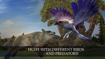 Image 2 for Wild Life: Flying Crow Bi…