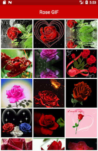 Image 0 for Rose GIF : Rose Stickers …