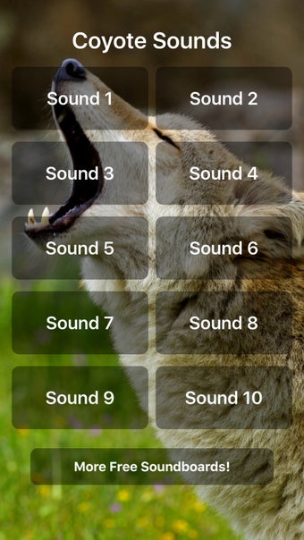 Image 0 for Coyote Sounds!