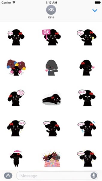 Image 1 for Black Poodle Dog and Frie…