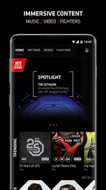 Image 1 for UFC Ultimate Sound