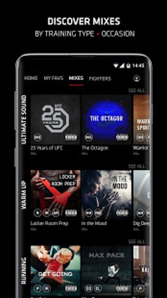 Image 2 for UFC Ultimate Sound