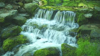 Imagen 2 para Green Stream HD Video & A…