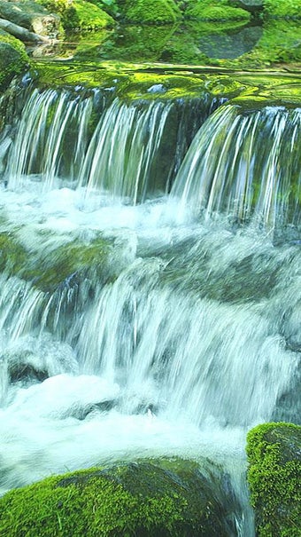 Imagen 0 para Green Stream HD Video & A…