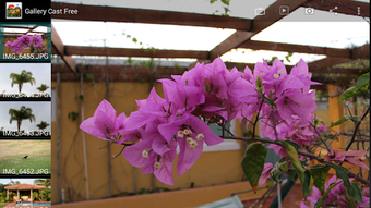 Imagen 0 para Gallery Cast - Free