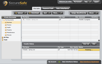 Imagen 1 para Securesafe