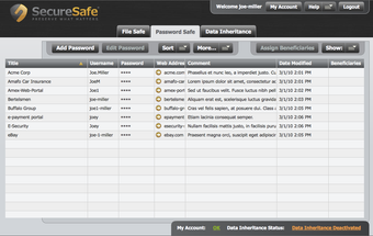 Imagen 0 para Securesafe