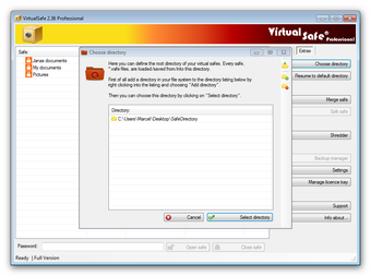 Image 2 for Virtual Safe Professional