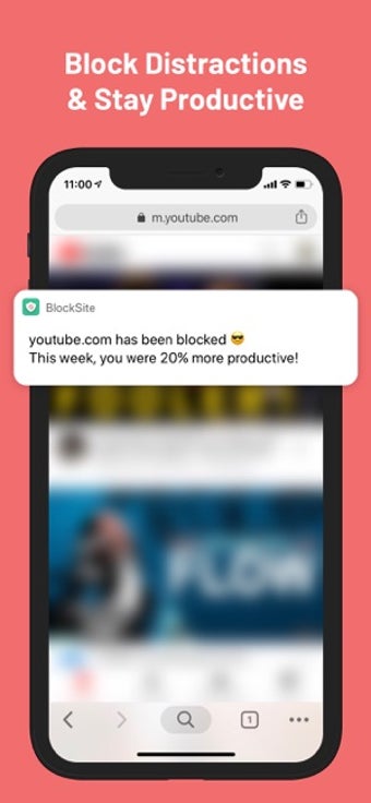 Image 3 for BlockSite