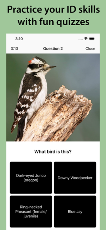 Imagen 0 para Smart Bird ID