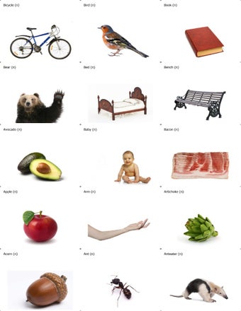 Image 2 for Payesh Leitner