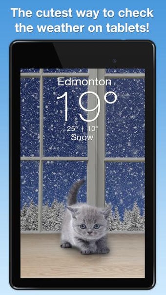 Image 0 for Weather Kitty