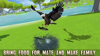 Imagen 0 para Golden Eagle Survival Sim…