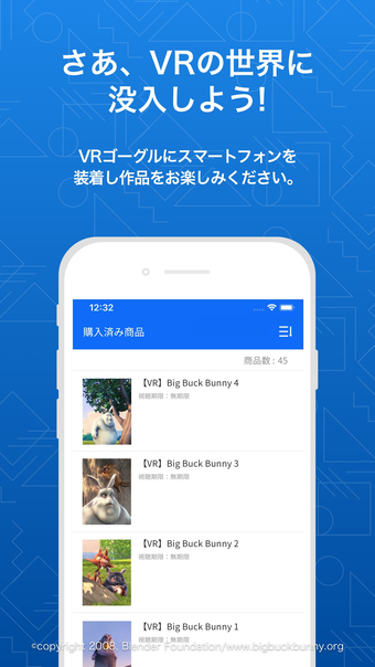 Imagen 0 para DMM VR動画プレイヤー