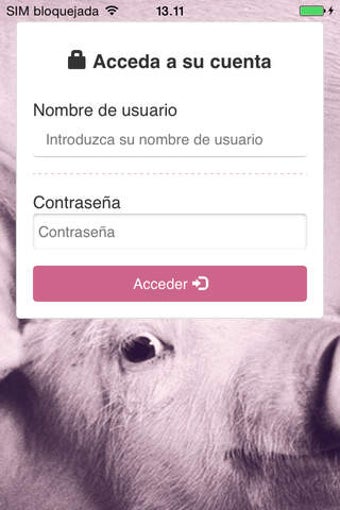 Imagen 0 para GSP