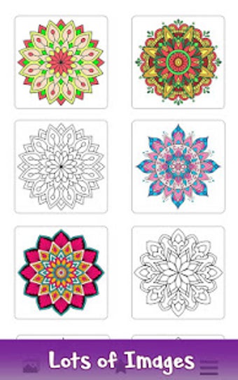 Image 0 for Adult Color by Number Boo…