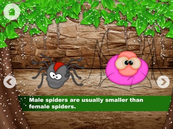Image 4 for Spider Jack and Slacky
