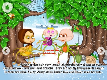 Image 5 for Spider Jack and Slacky