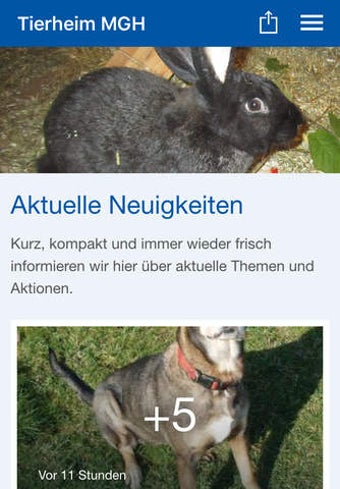 Image 0 for Tierheim Bad Mergentheim
